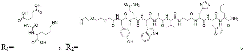 Figure FDA0002790970140000064