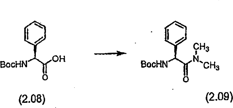 Figure BSA00000554725401111