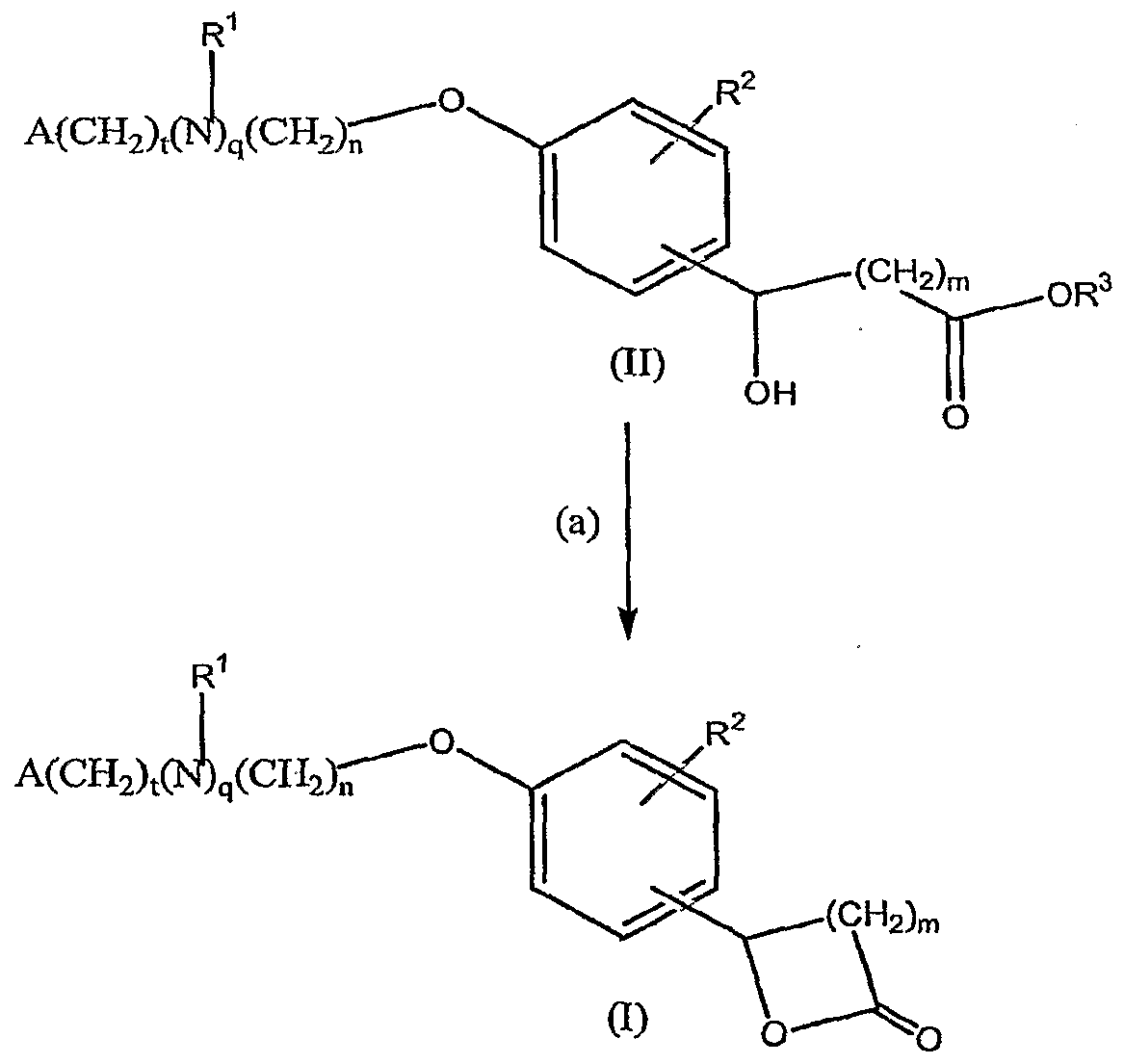 Figure imgf000007_0001