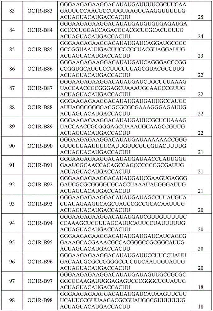 Figure BDA0002402678590000451