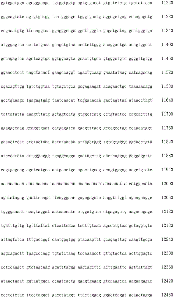 Figure IDA0003936212790000911