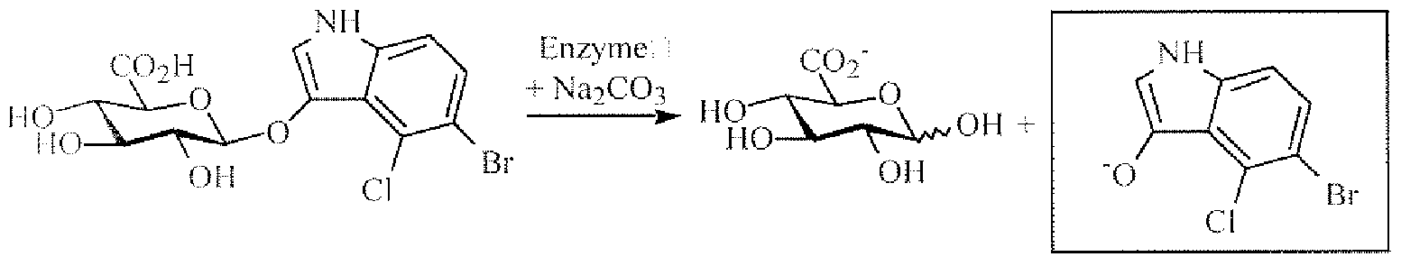 Figure imgf000096_0001