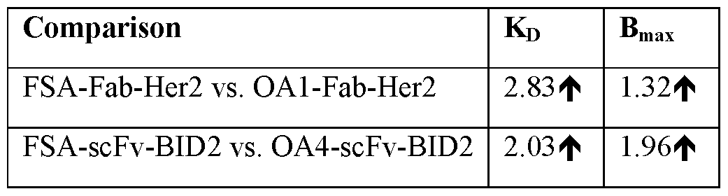 Figure imgf000091_0002
