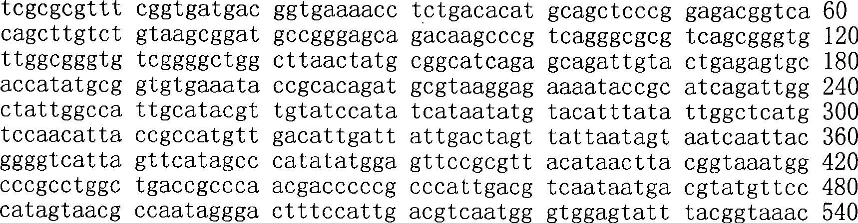 Figure A200780009494D01562