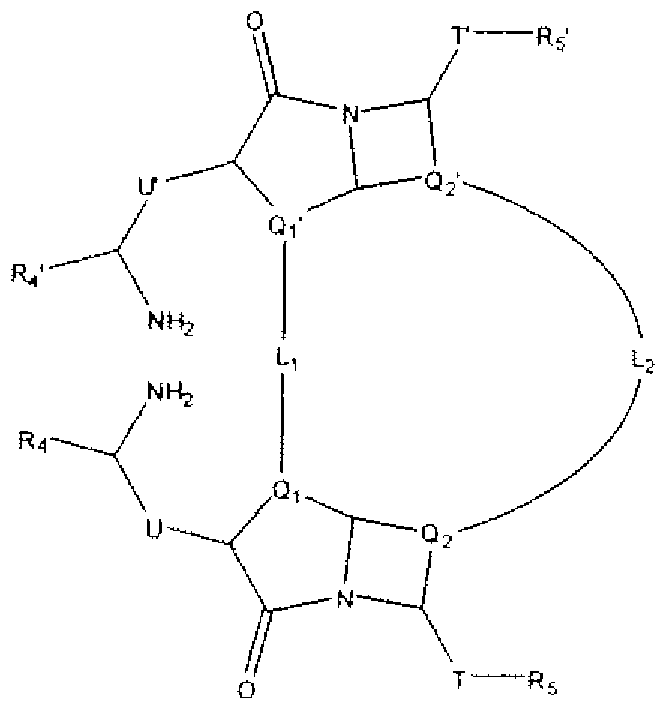 Figure imgf000066_0002