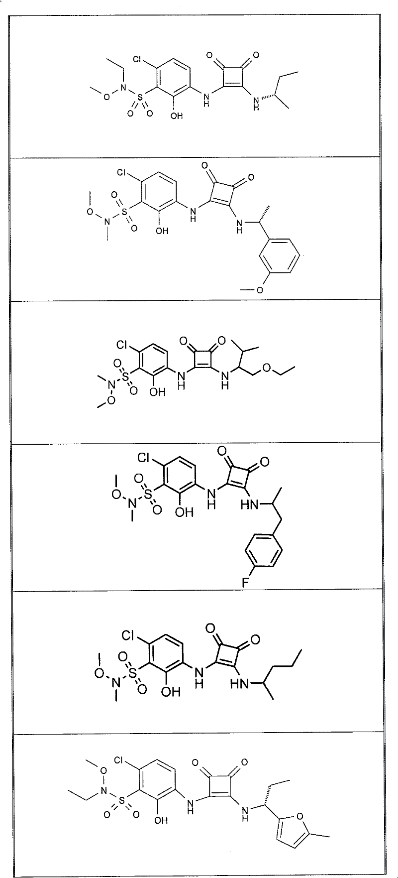 Figure FDA0000053622180000121