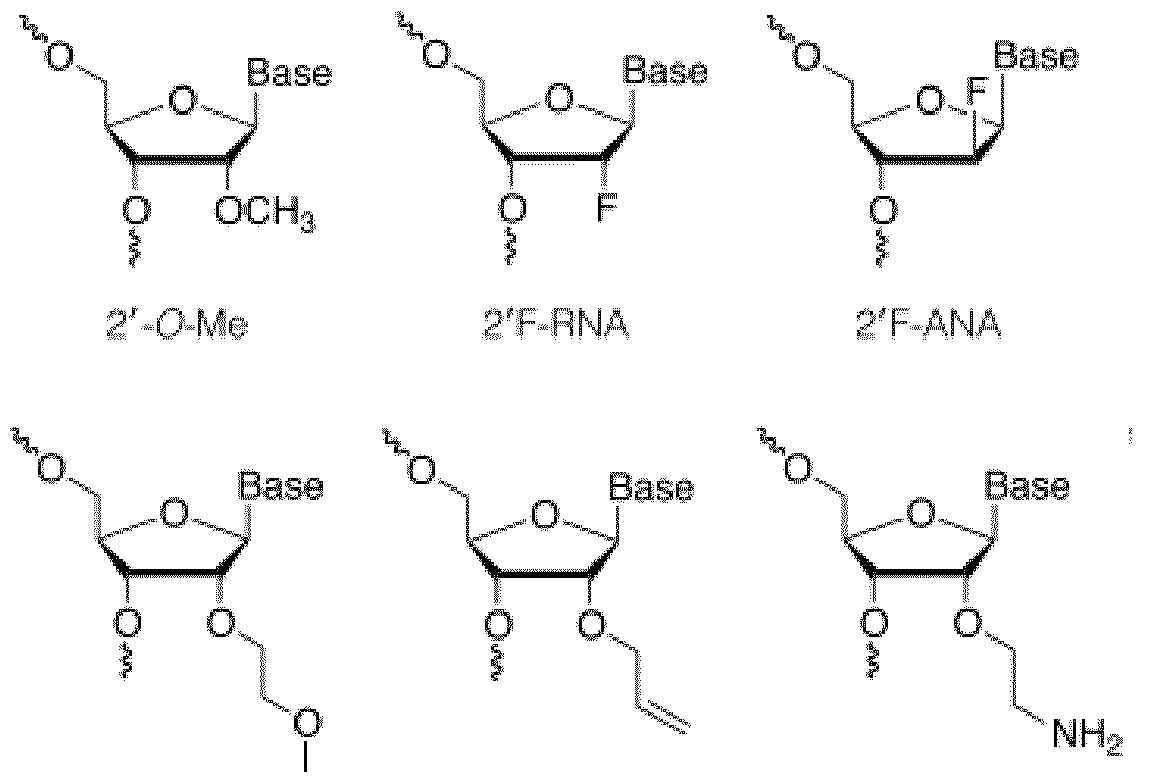 Figure imgf000018_0001