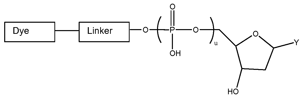 Figure imgf000053_0002