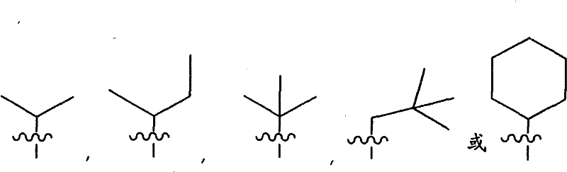 Figure BSA00000313081100471