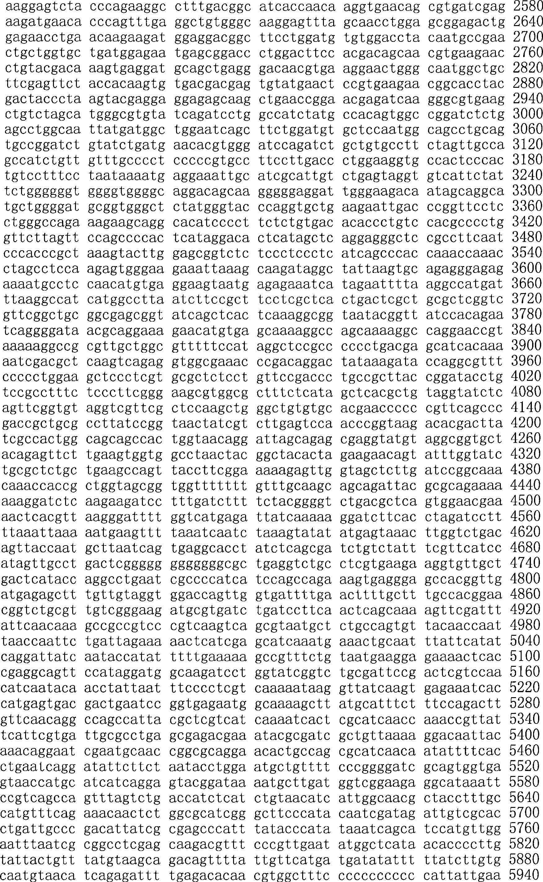 Figure A200780009494D02381