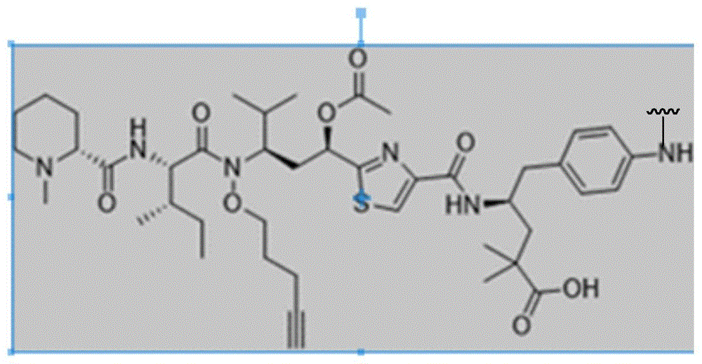 Figure BDA0003817518590000481