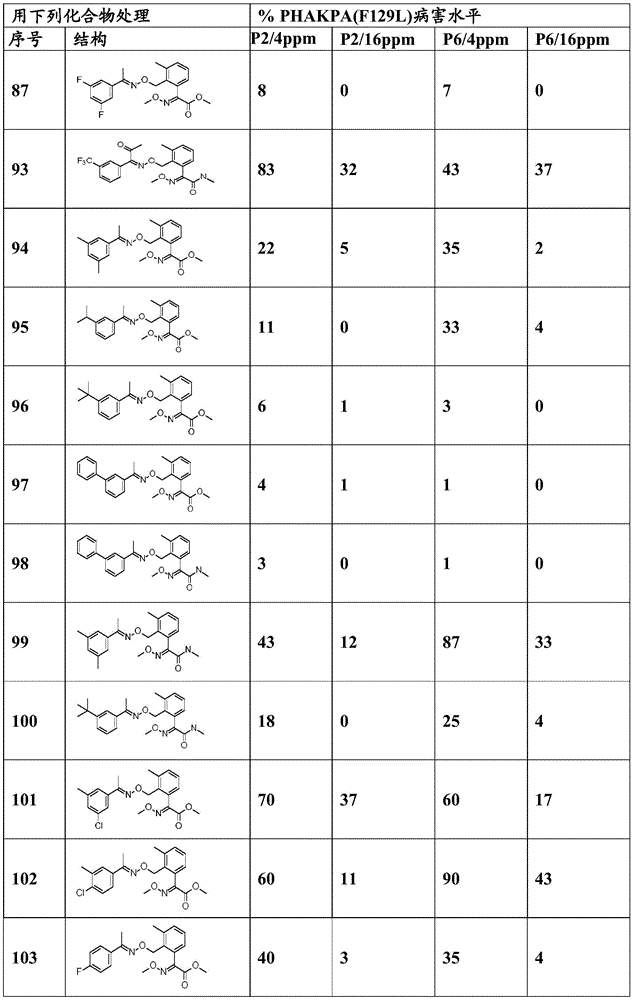 Figure BDA0003914530940001041