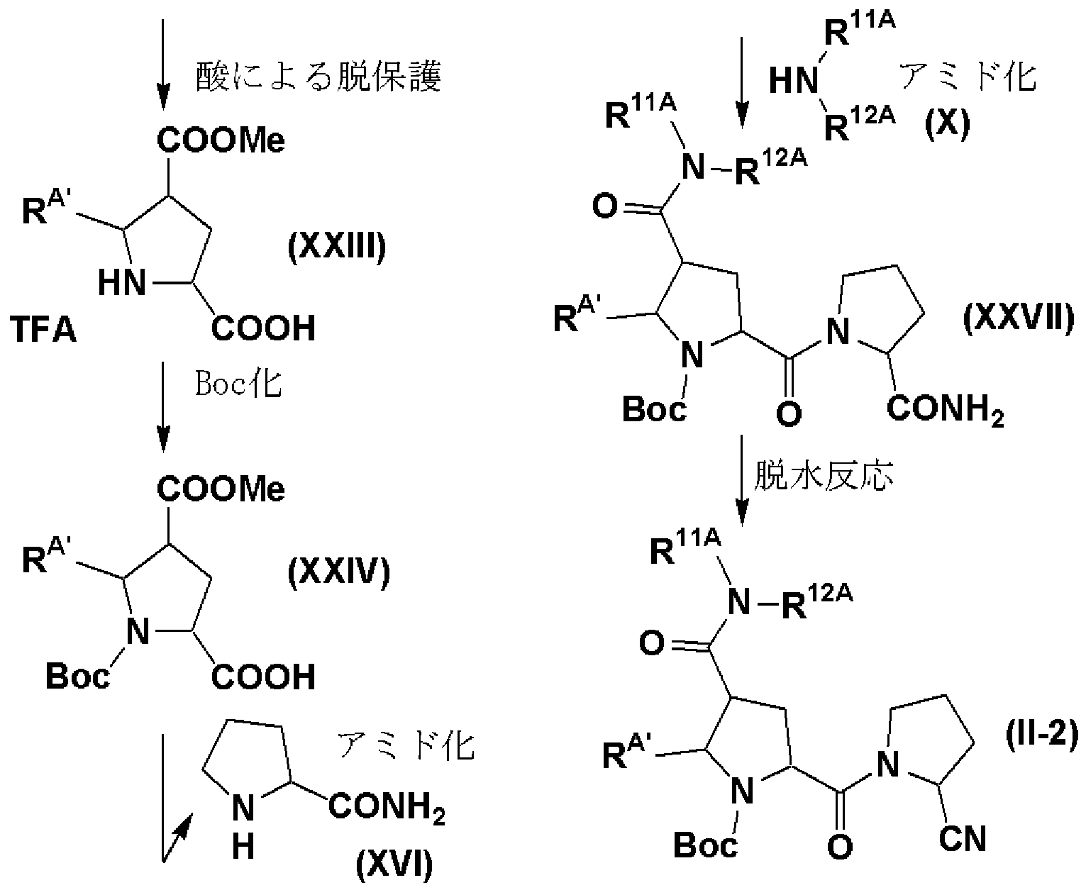 Figure imgf000037_0002