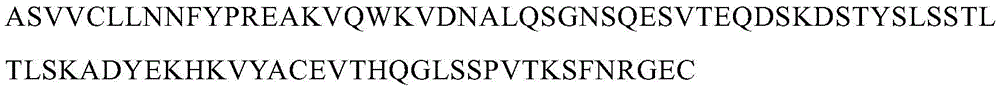 Figure BDA0002056612910000251