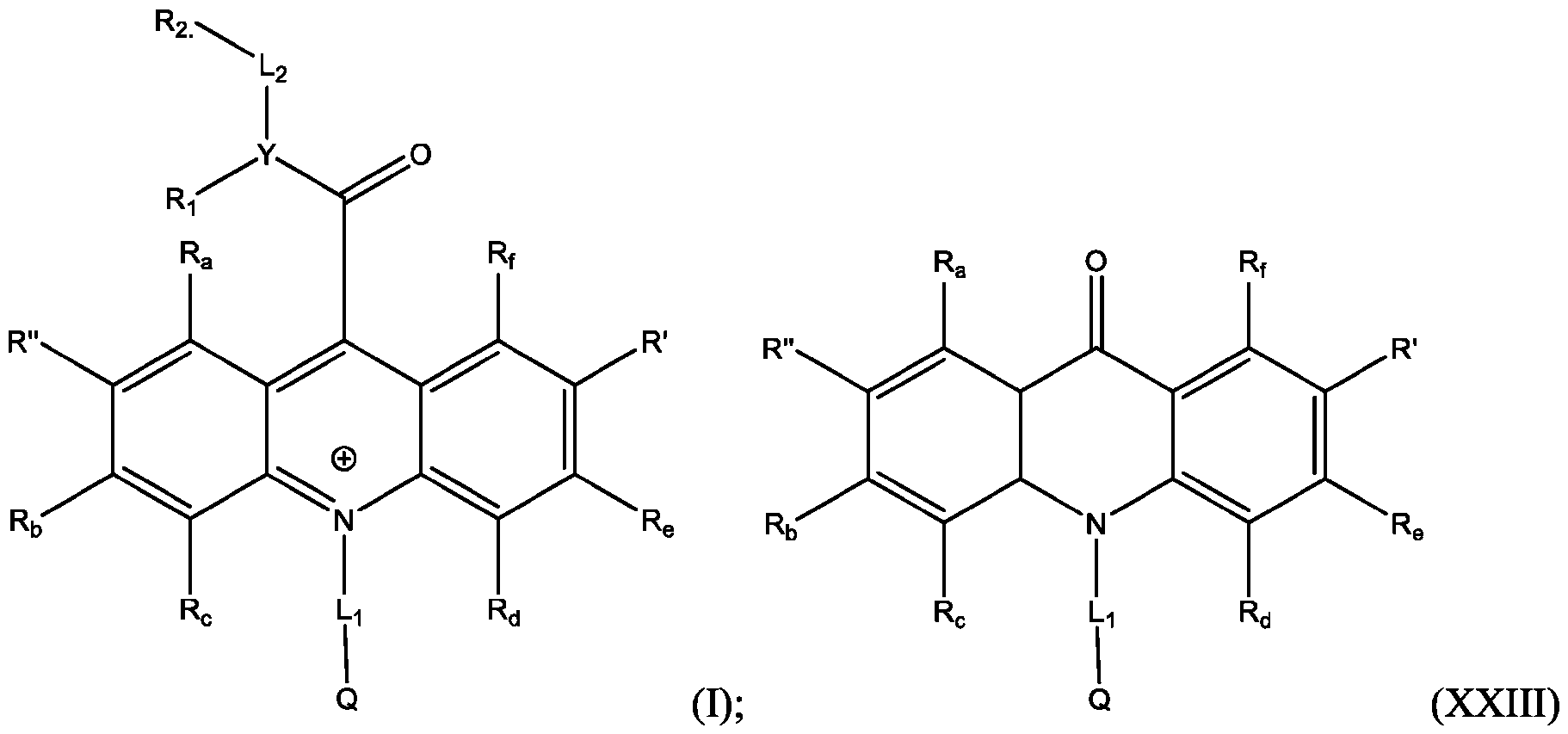 Figure imgf000251_0001