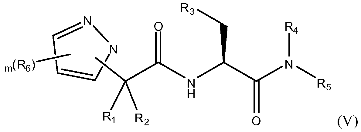 Figure imgf000019_0004