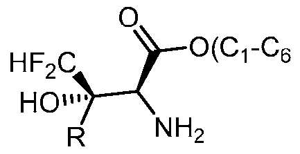 Figure imgf000032_0002