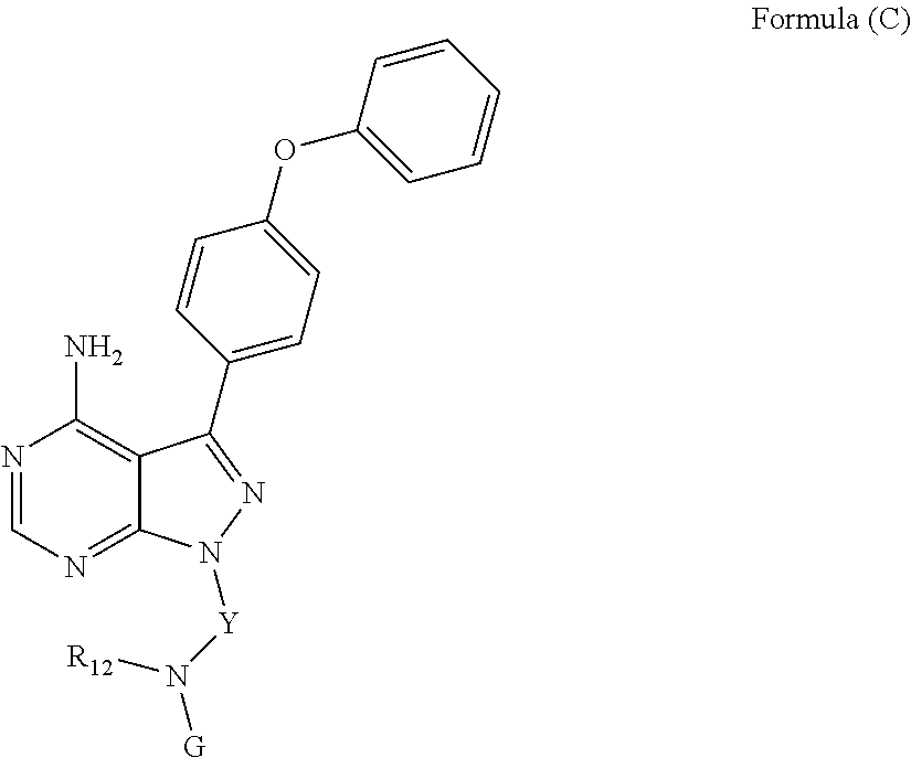 Figure US20100022561A1-20100128-C00013