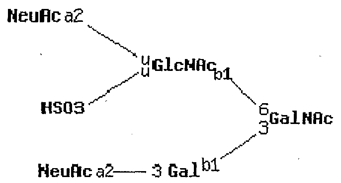 Figure imgf000191_0002