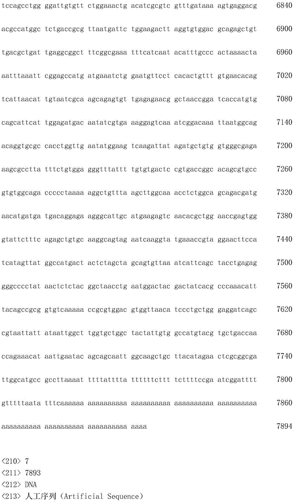 Figure IDA0002872168960000841