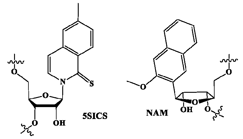 Figure imgf000030_0001