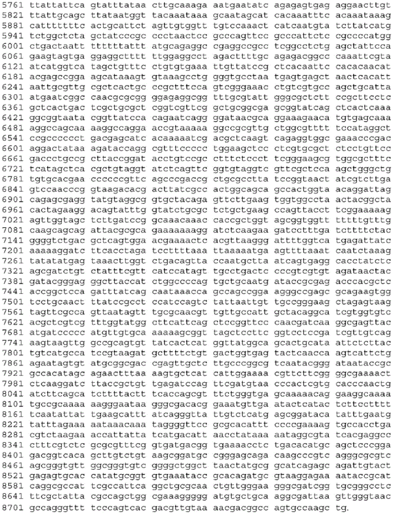 Figure BDA0003465582640001241