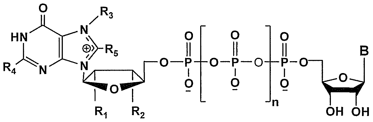 Figure imgf000008_0001
