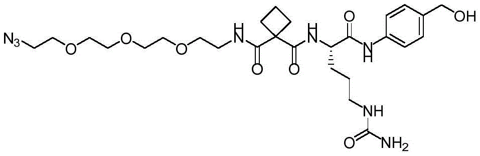 Figure BDA0003169092350002011