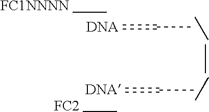 Figure US20220010376A1-20220113-C00018