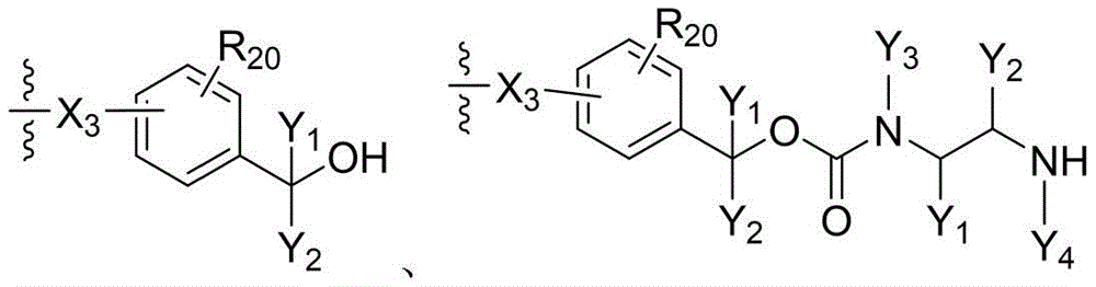 Figure FDA0003850165570000024