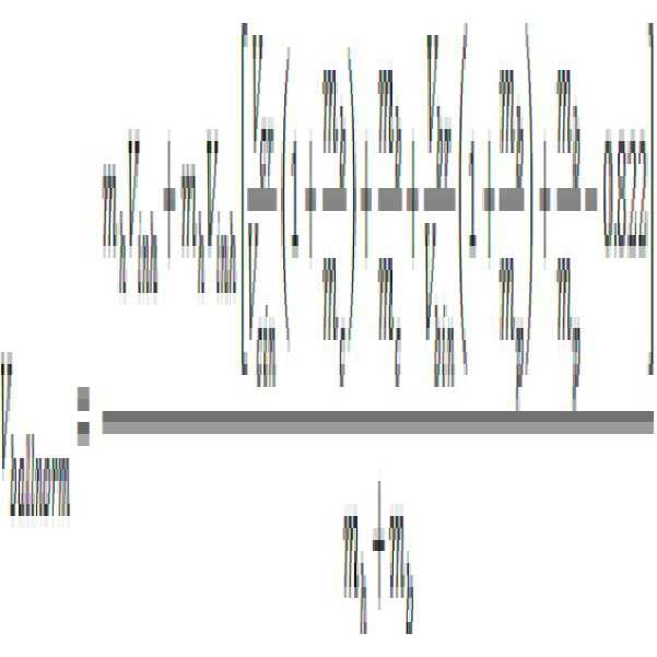 Figure 112017019020262-pat00027