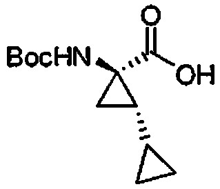 Figure 112009076339753-PCT00048