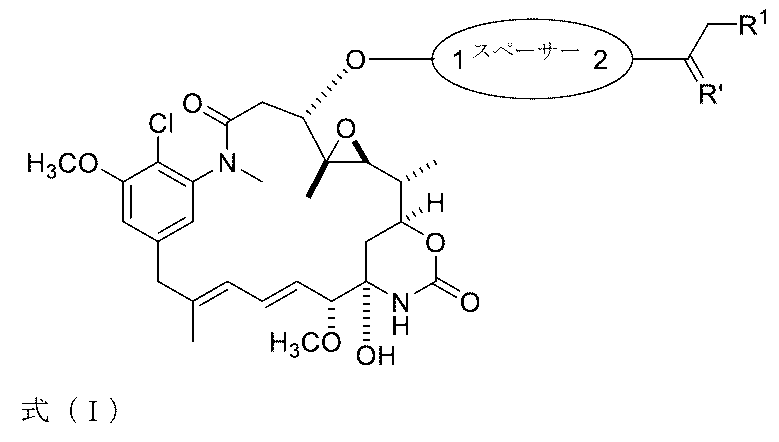 Figure 0007442821000009