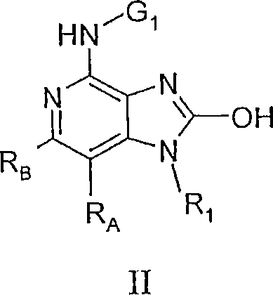 Figure S2006800319190C00043