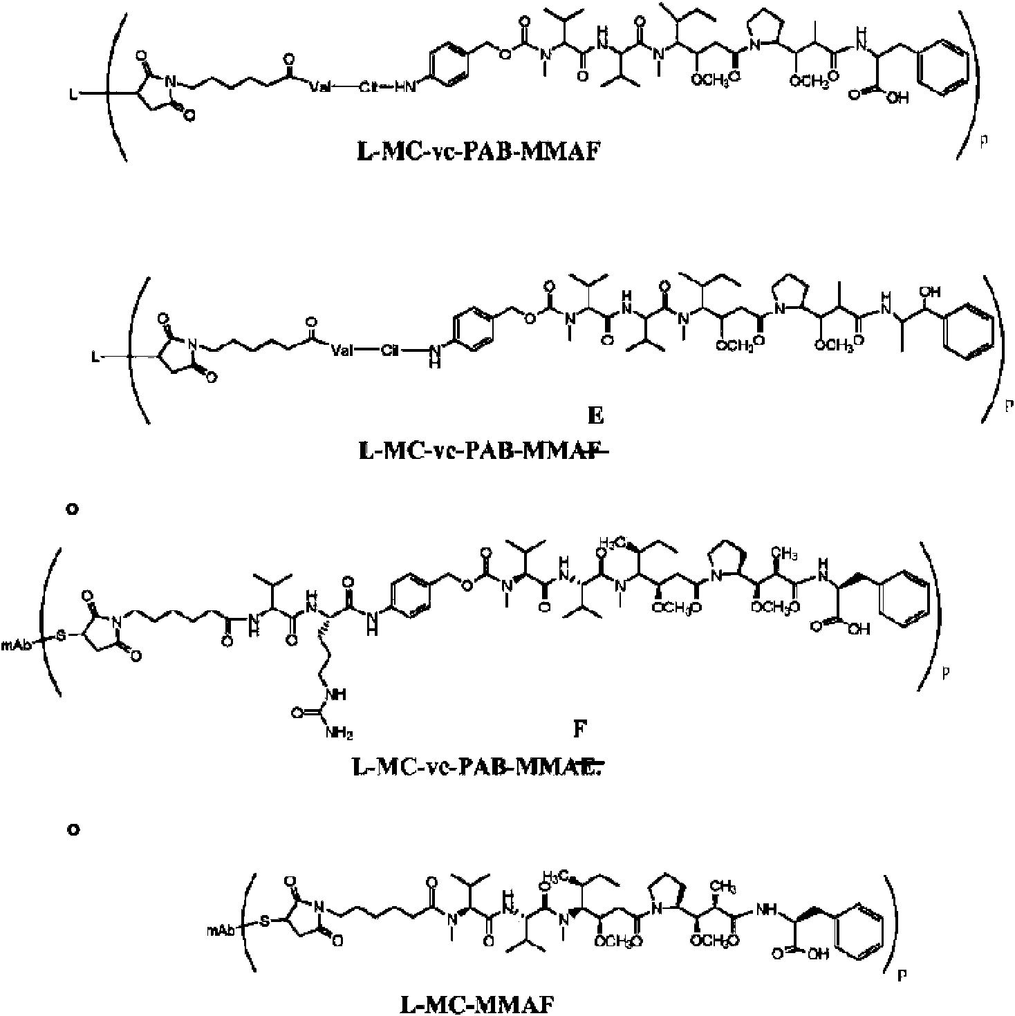 Figure imgf000047_0001