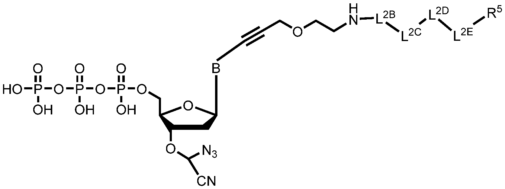 Figure imgf000250_0003