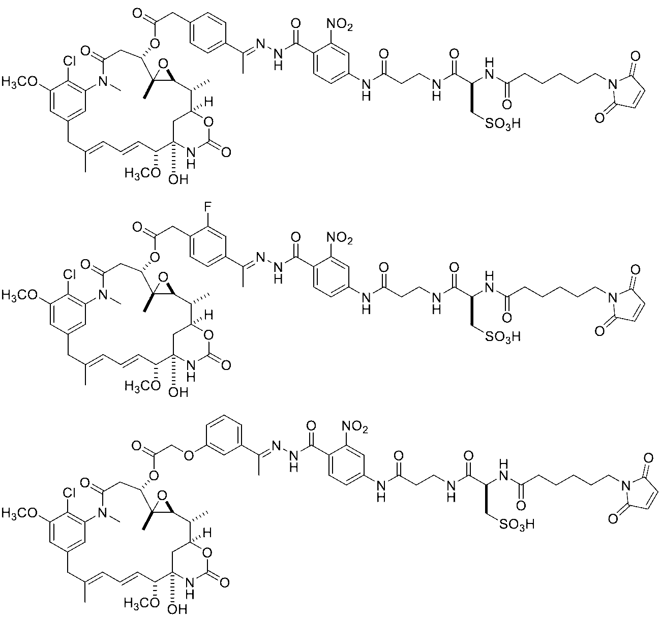 Figure 0007442821000036