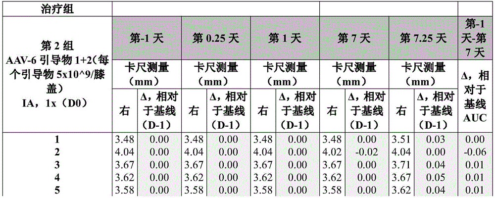 Figure BDA0004103958450001222