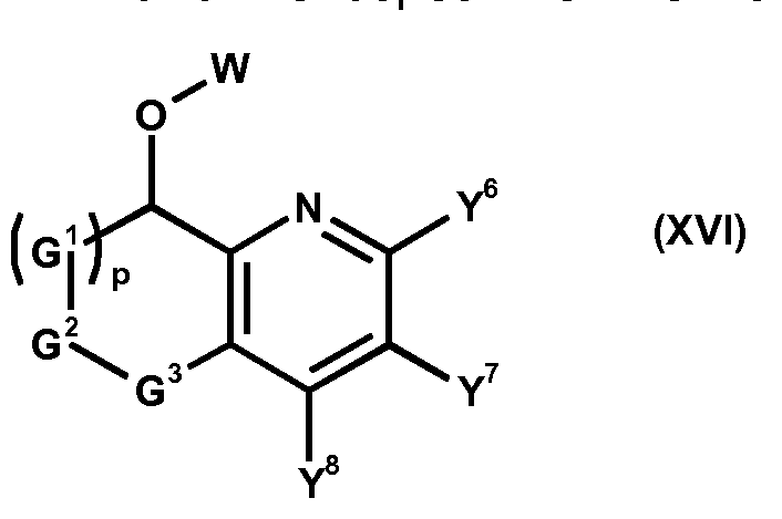 Figure imgf000032_0001