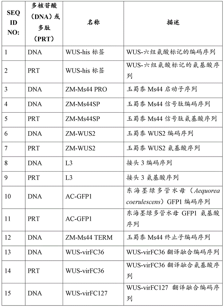 Figure BDA0002532806160000411