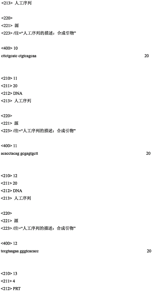 Figure IPA0000261779010000251