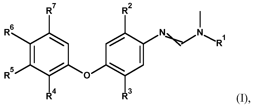 Figure imgf000007_0001