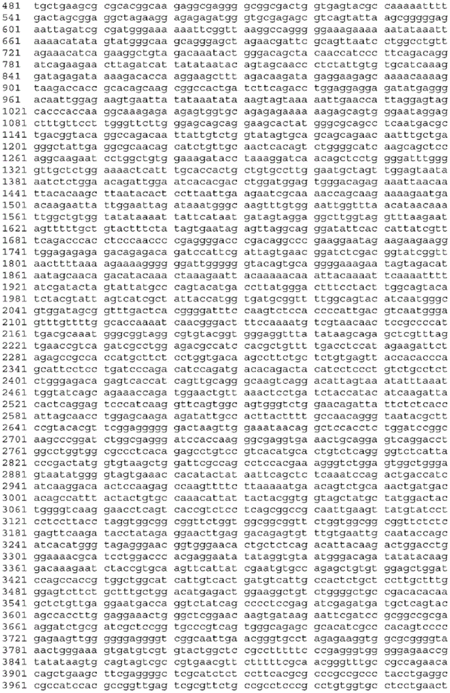 Figure BDA0003465582640001251