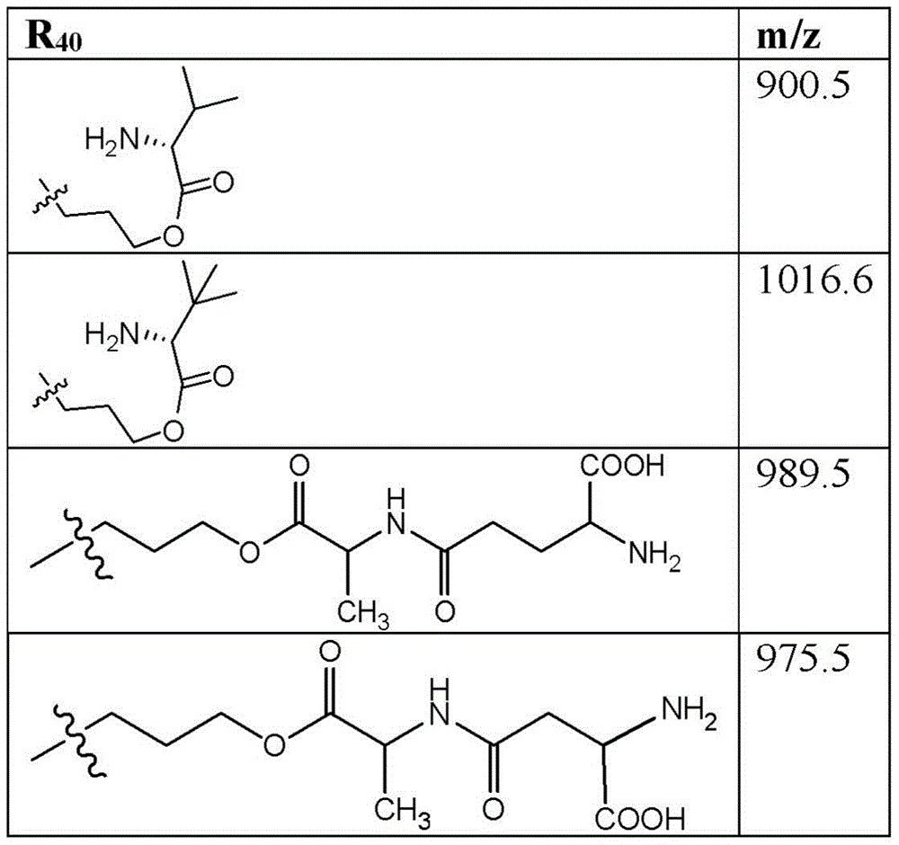 Figure BDA0003135424430001391