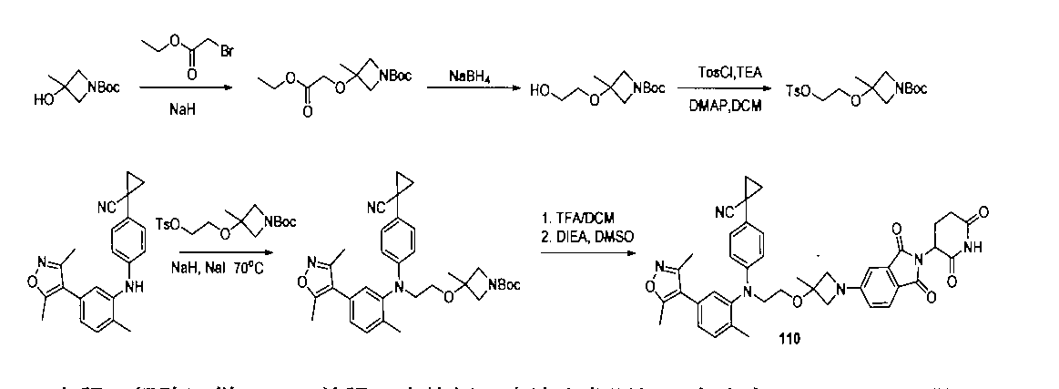 Figure 2022533147000169