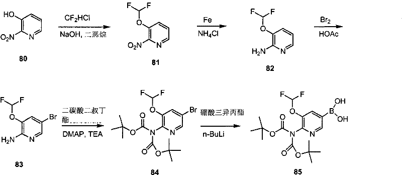 Figure GPA00001078665900741