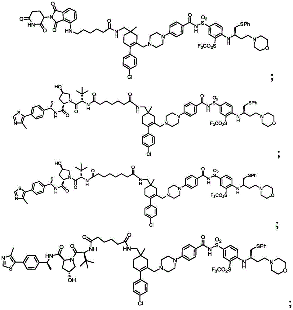 Figure FDA0003293294500000135