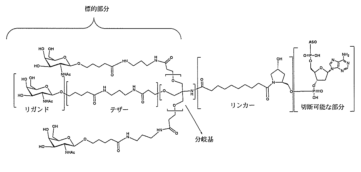 Figure 0007429103000213
