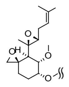 Figure 0007161760000011