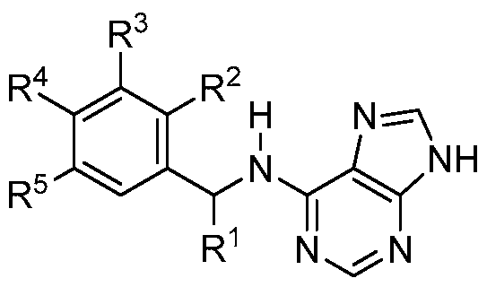 Figure imgf000017_0001